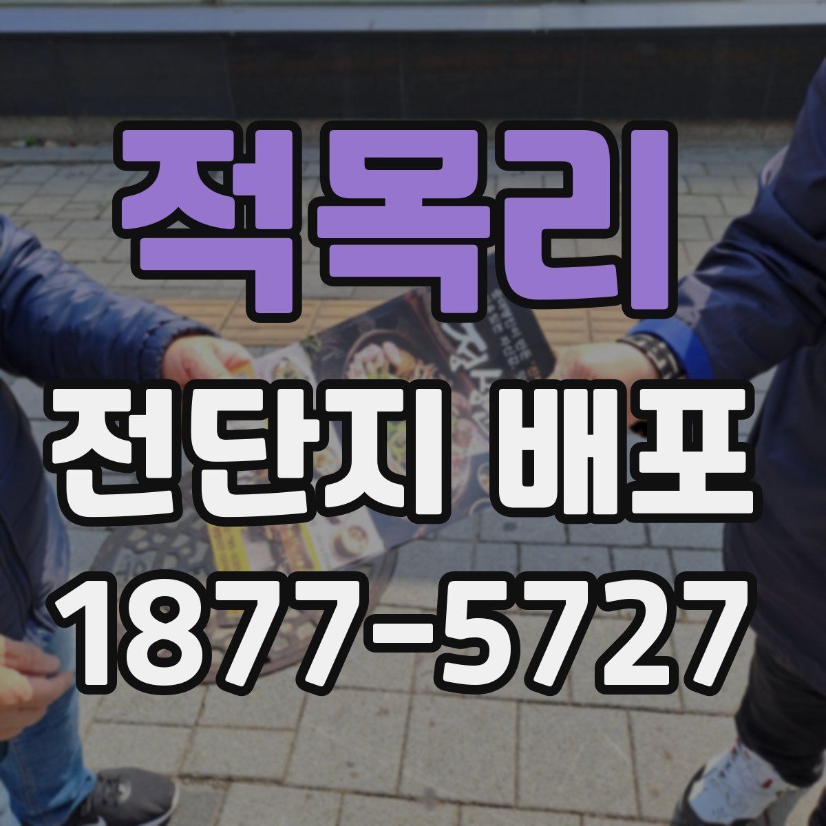 적목리 전단지 배포