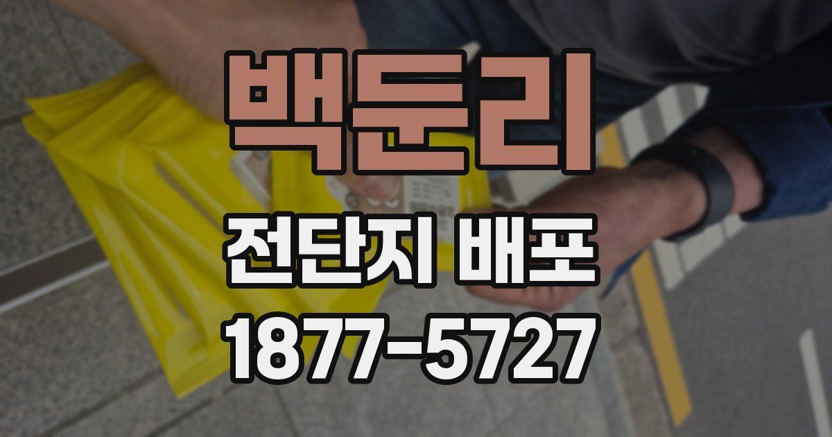 백둔리 전단지 배포