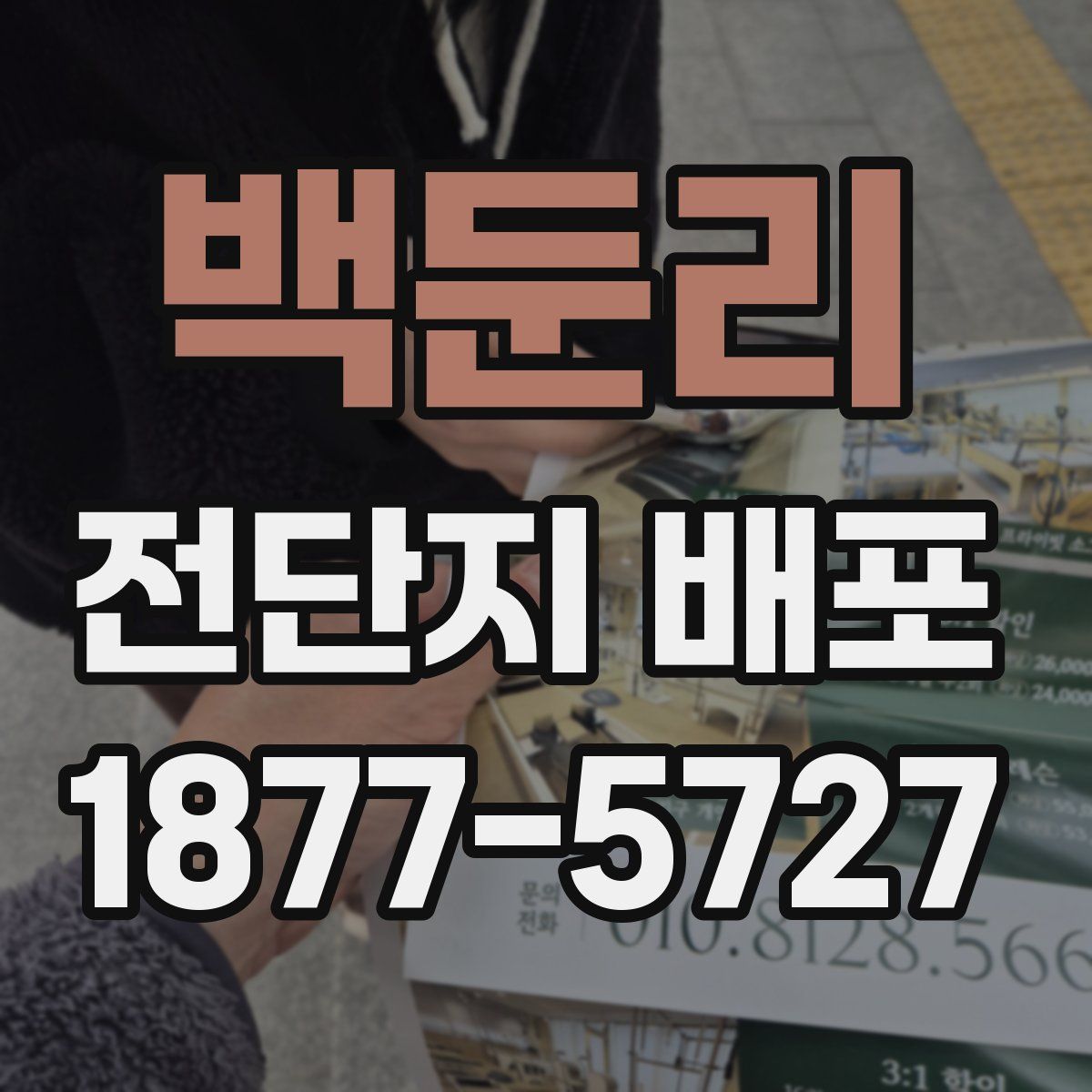 백둔리 전단지 배포