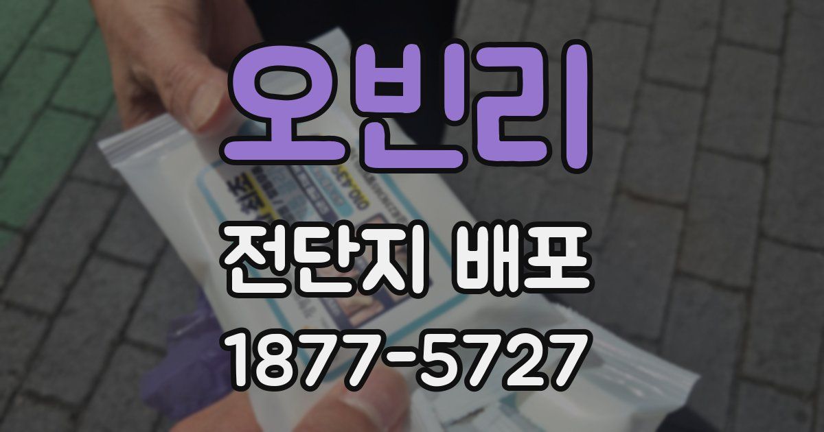 오빈리 전단지 배포