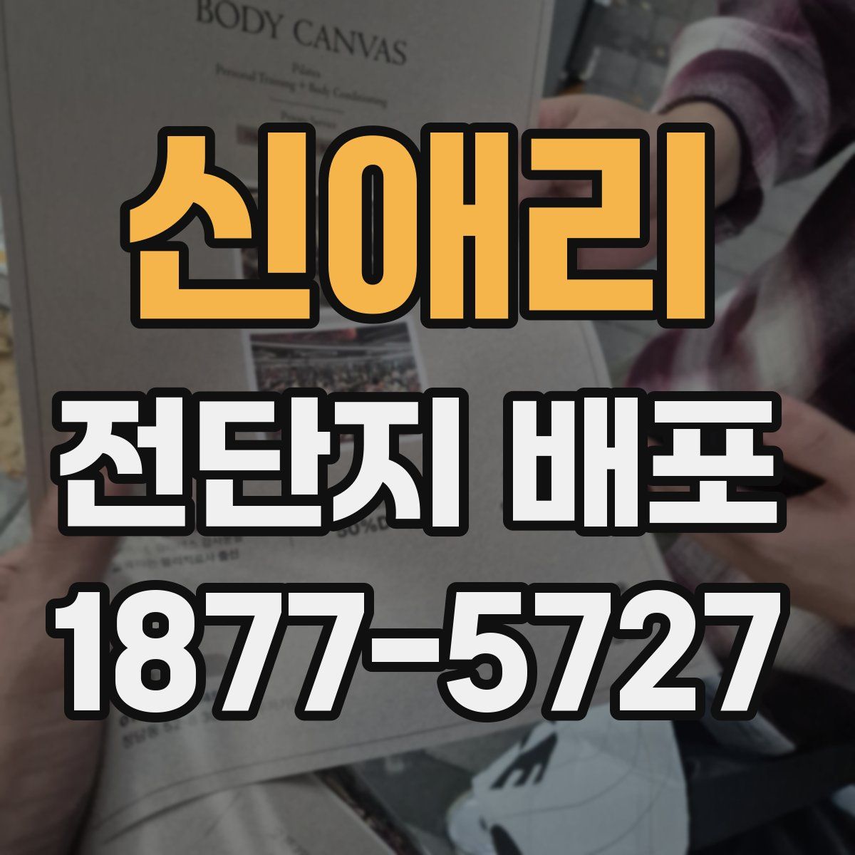 신애리 전단지 배포