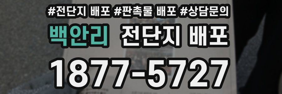 백안리 전단지 배포