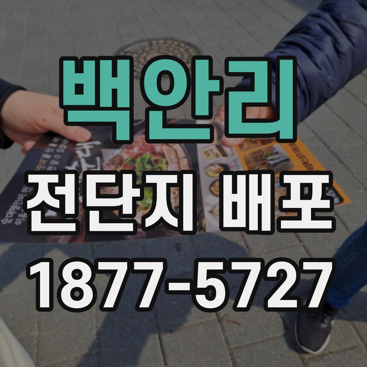 백안리 전단지 배포