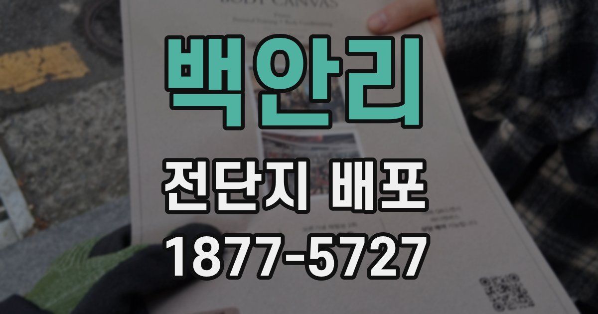 백안리 전단지 배포