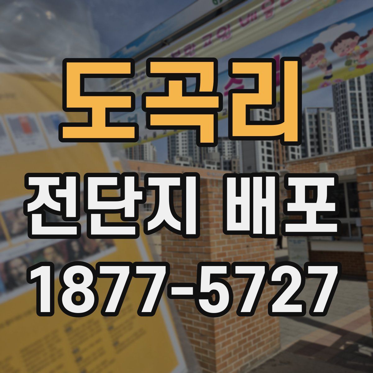 도곡리 전단지 배포