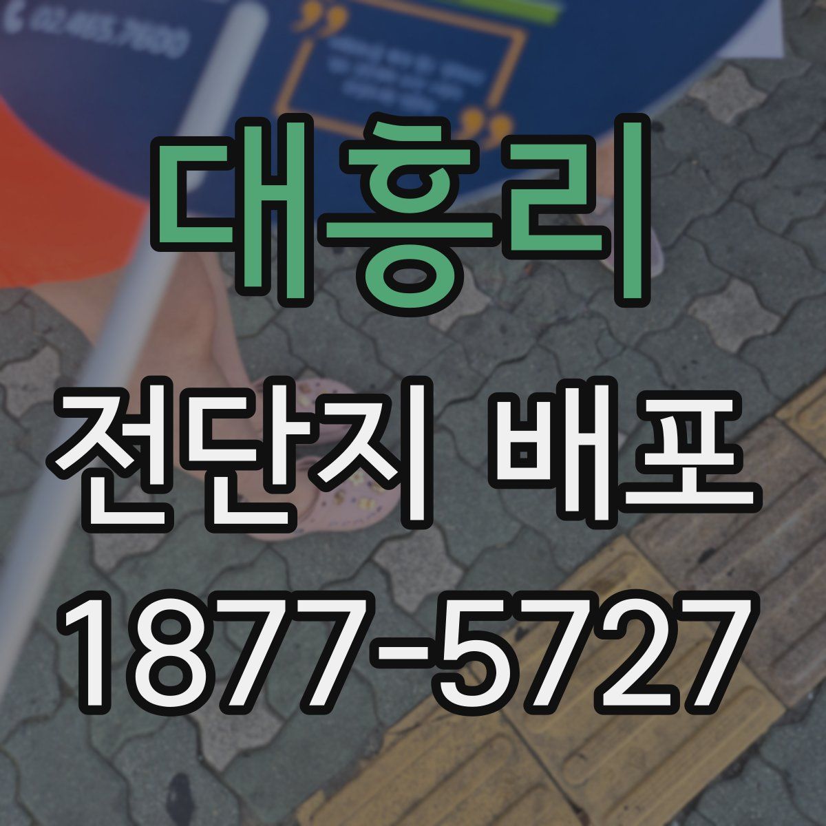 대흥리 전단지 배포