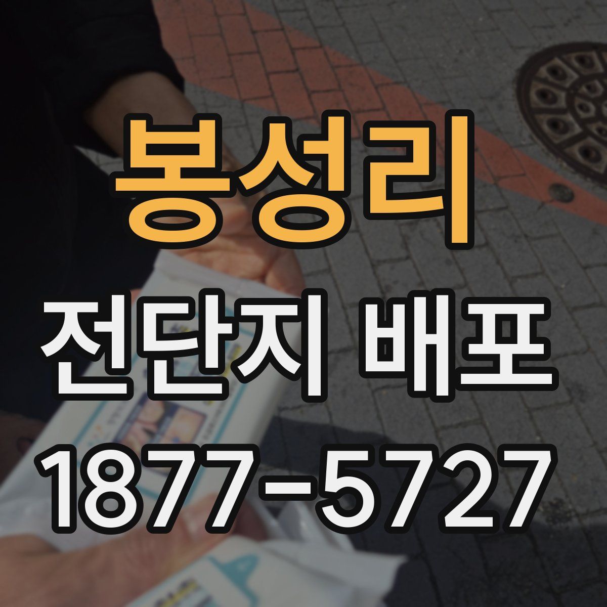 봉성리 전단지 배포