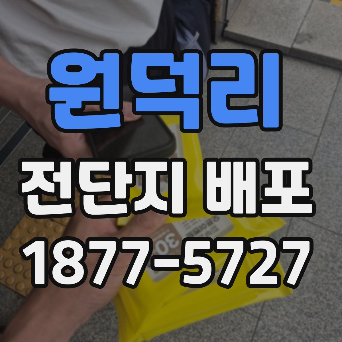 원덕리 전단지 배포