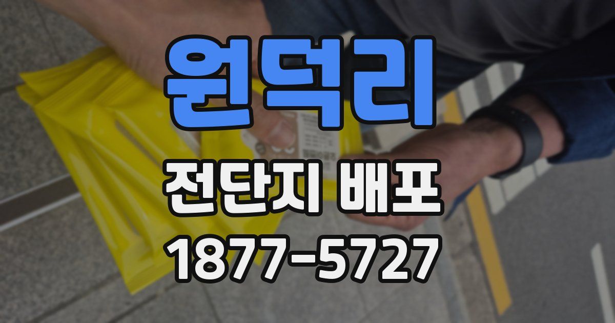 원덕리 전단지 배포