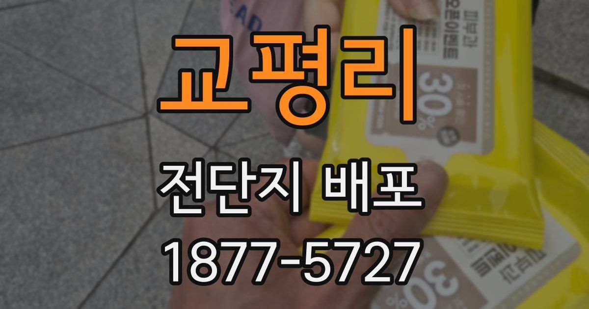 교평리 전단지 배포
