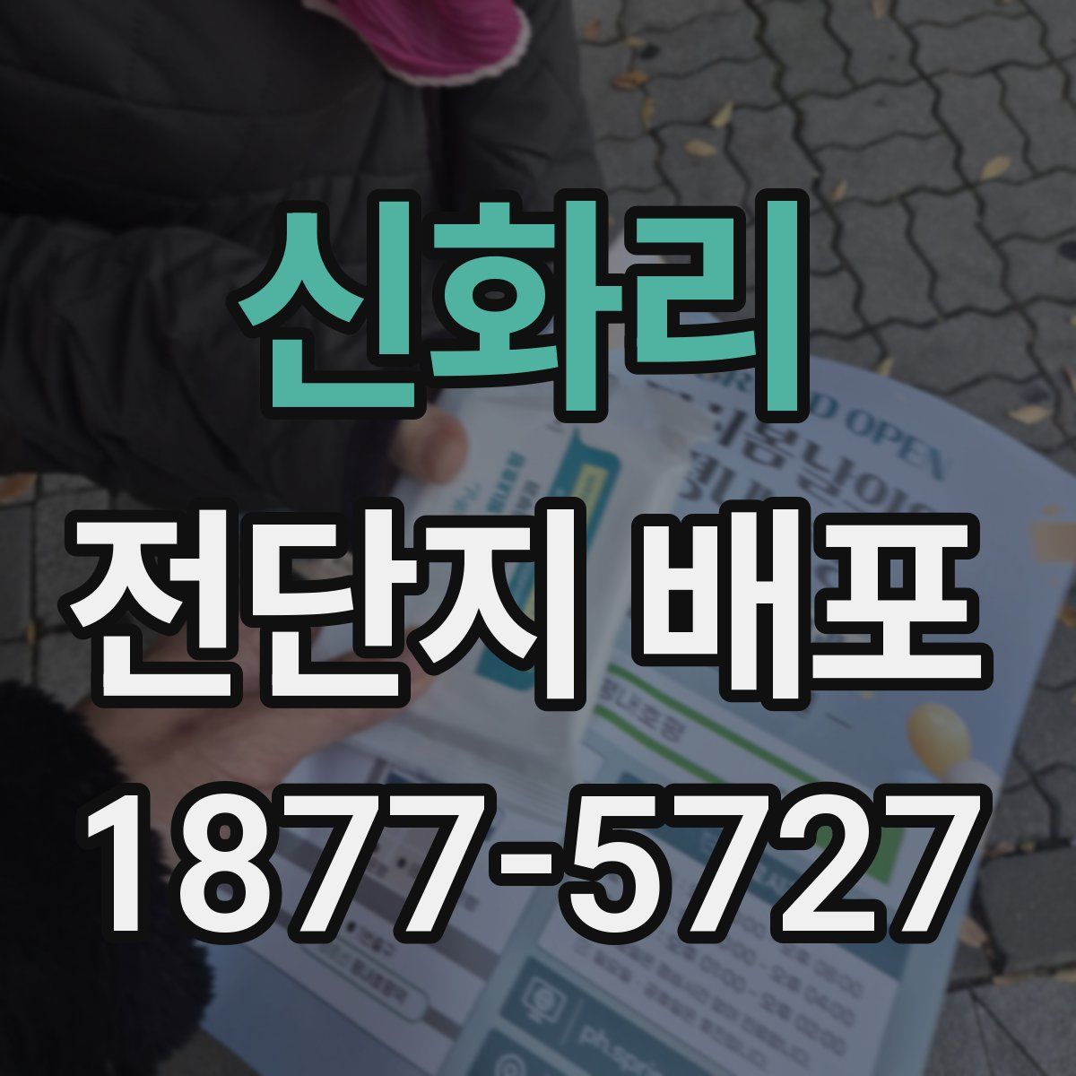 신화리 전단지 배포