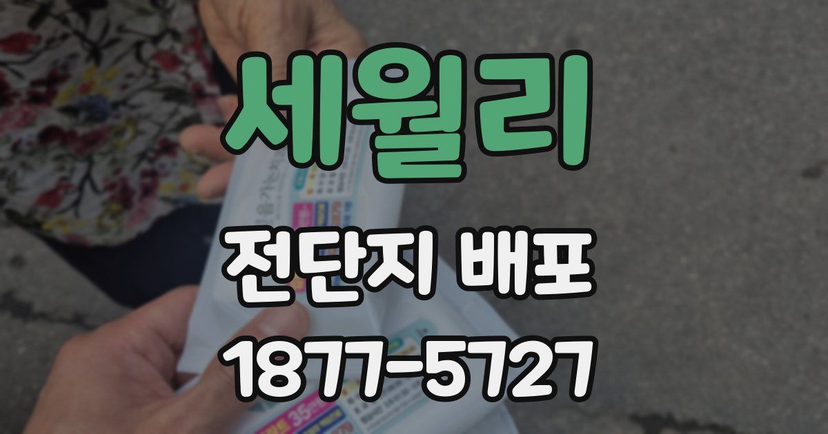 세월리 전단지 배포