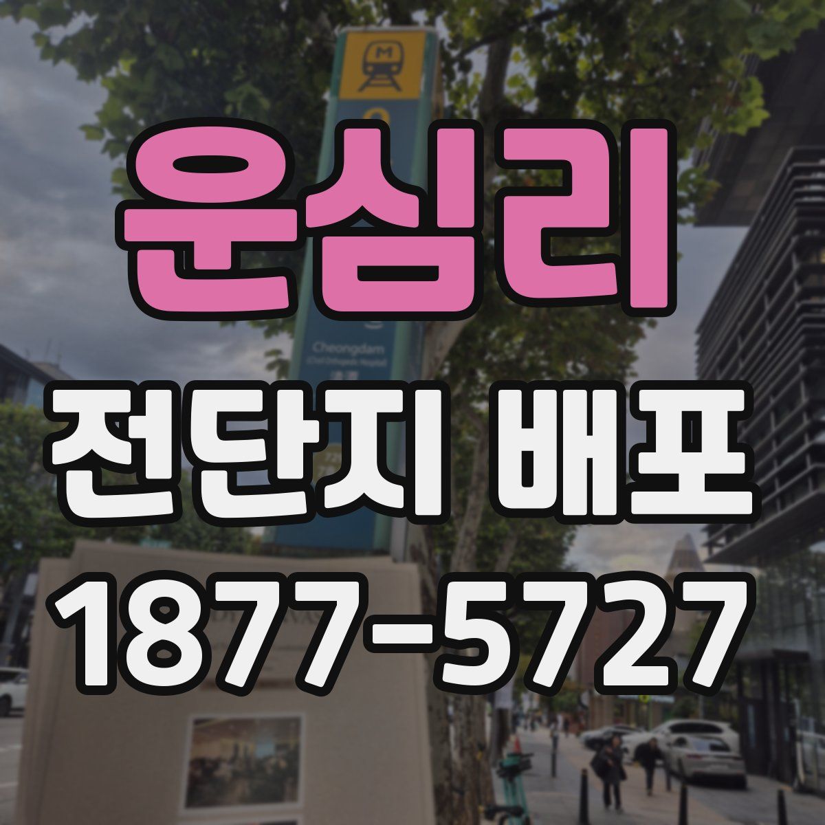 운심리 전단지 배포