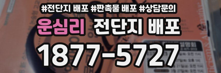 운심리 전단지 배포