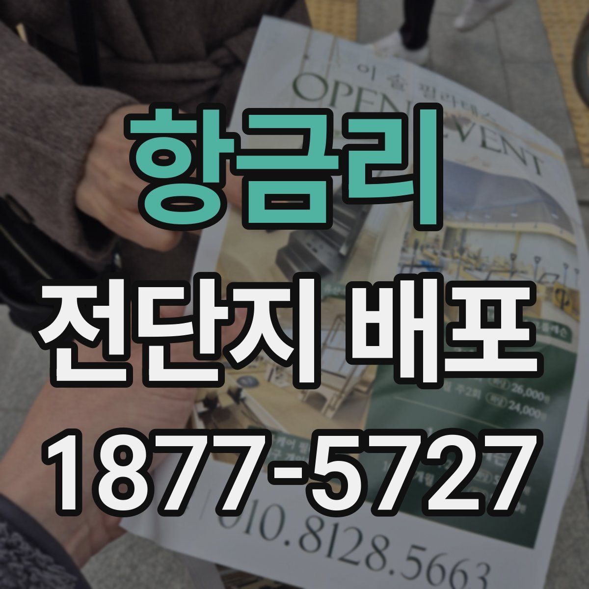 항금리 전단지 배포