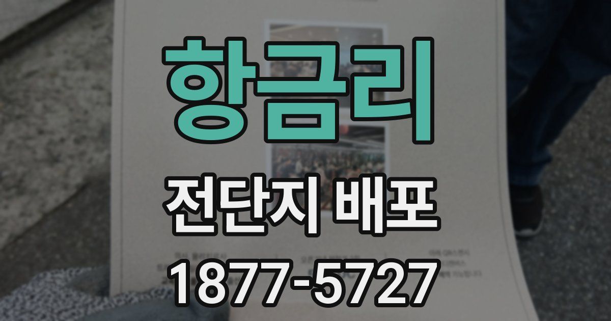 항금리 전단지 배포
