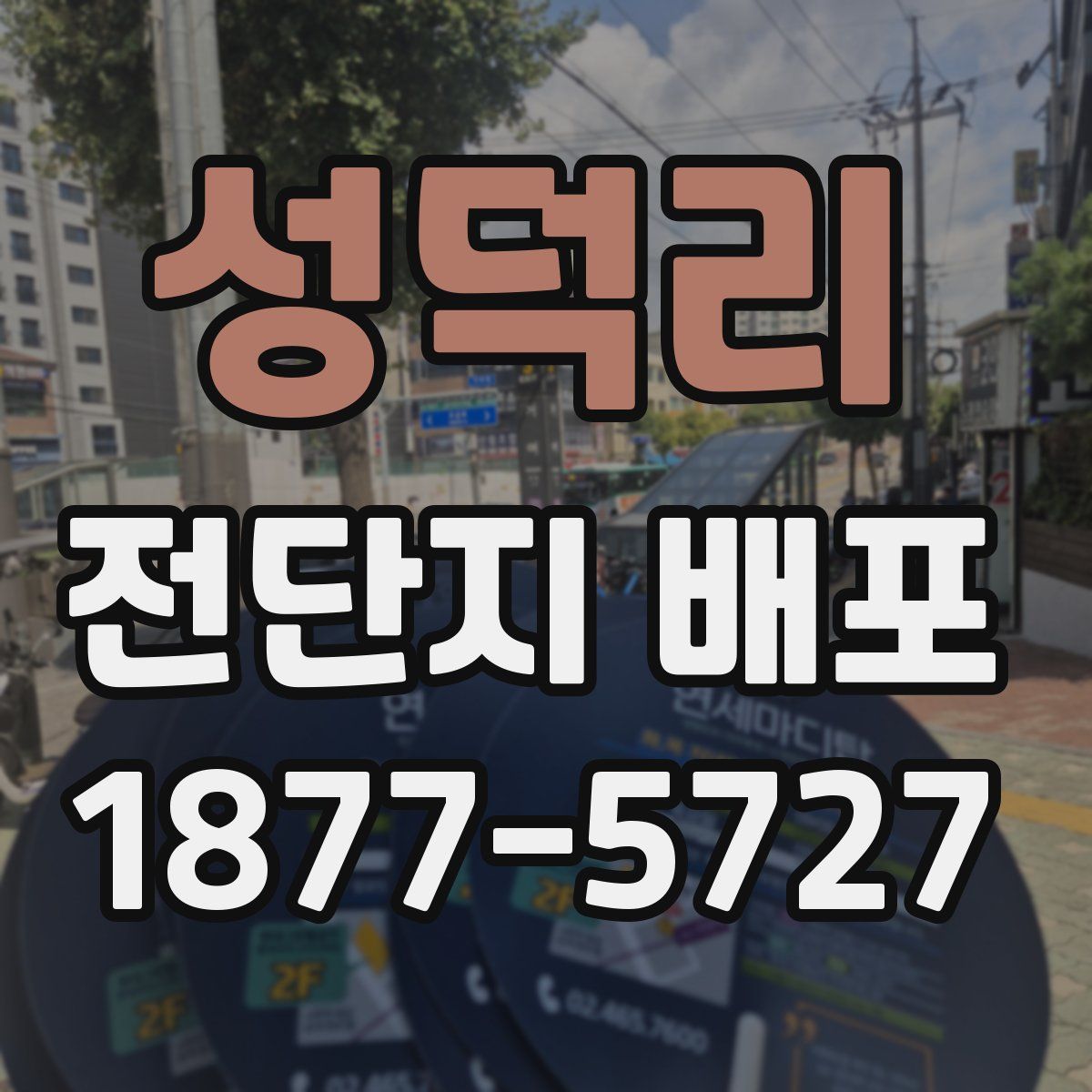 성덕리 전단지 배포