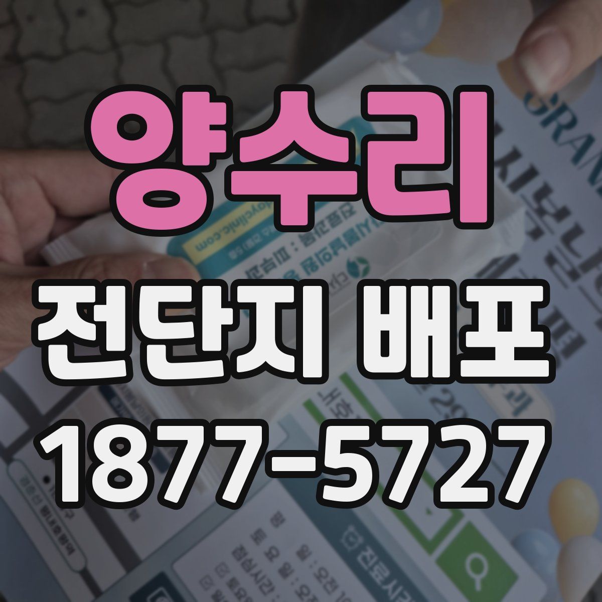 양수리 전단지 배포