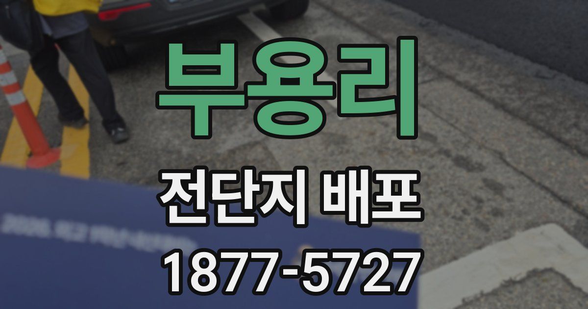 부용리 전단지 배포