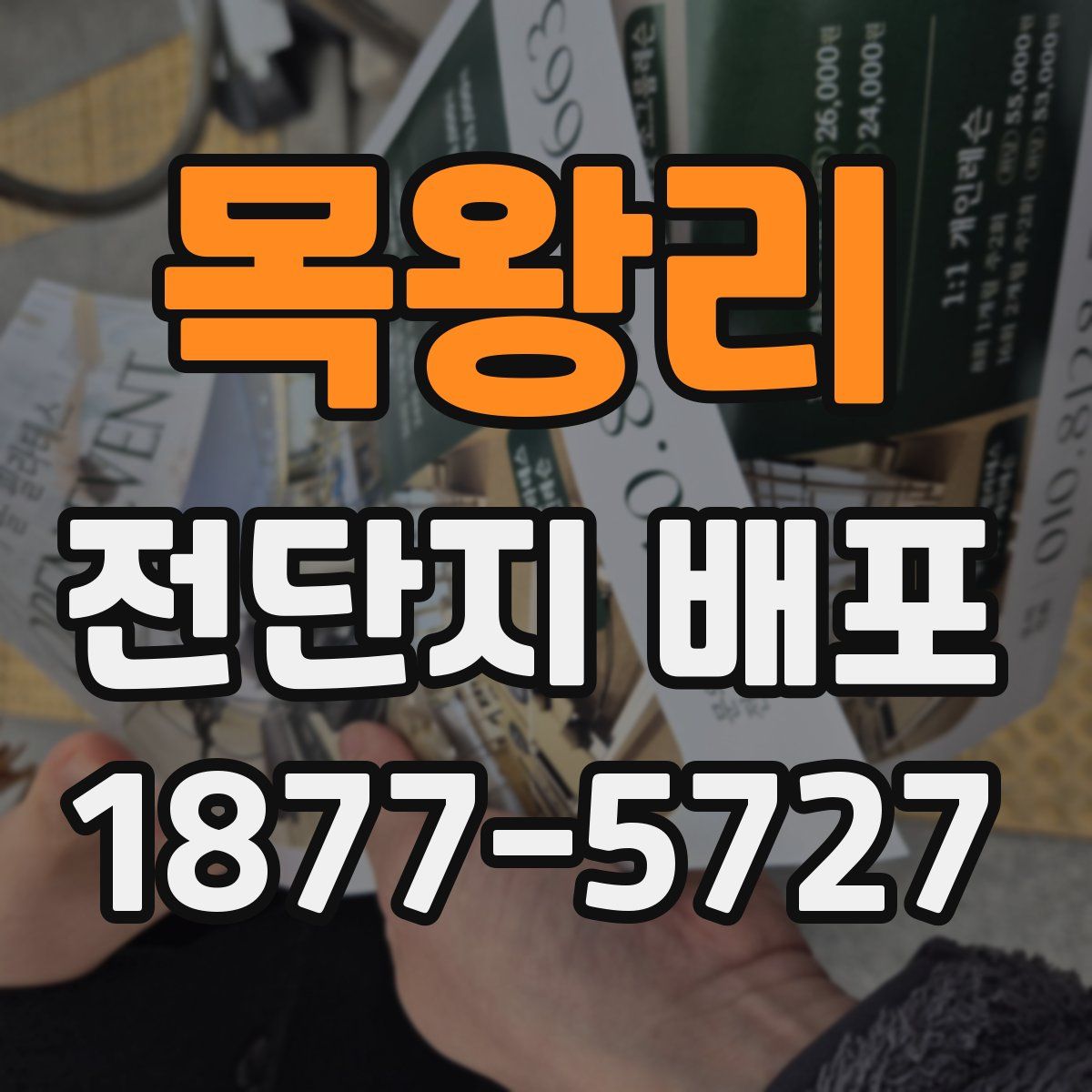 목왕리 전단지 배포