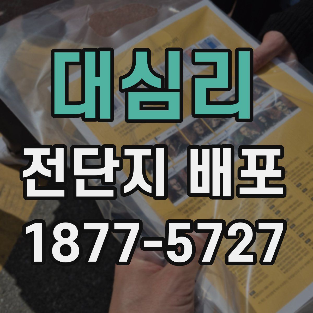 대심리 전단지 배포