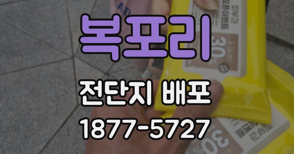 복포리 전단지 배포