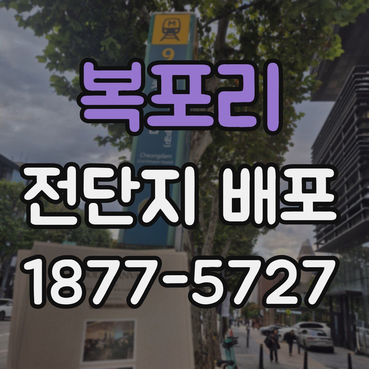 복포리 전단지 배포