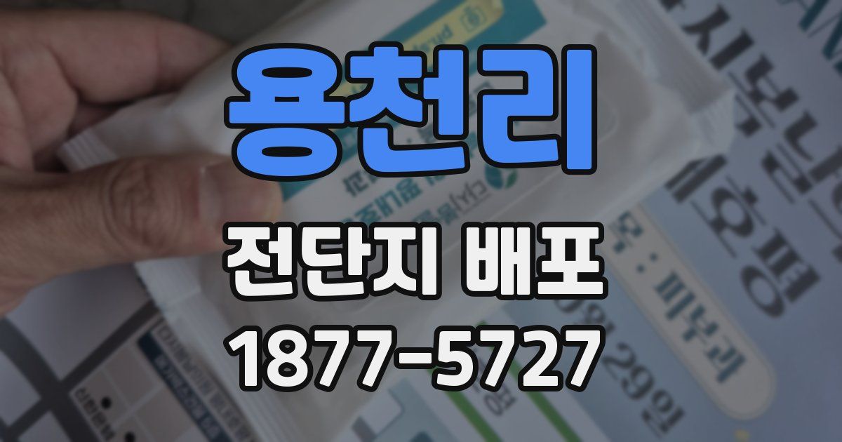 용천리 전단지 배포