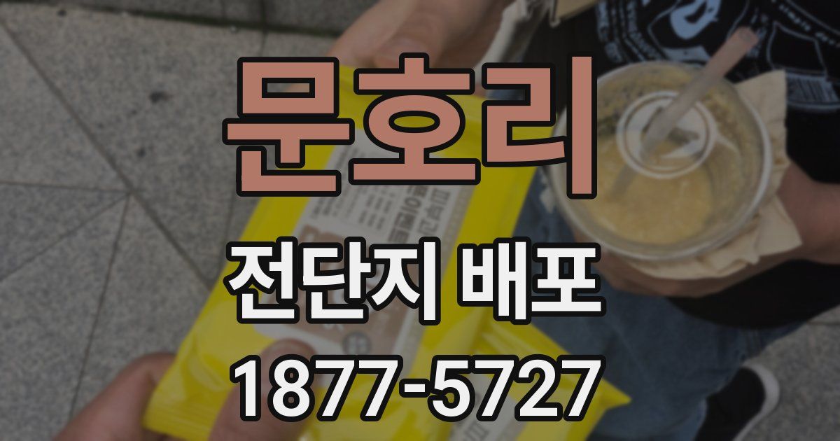 문호리 전단지 배포