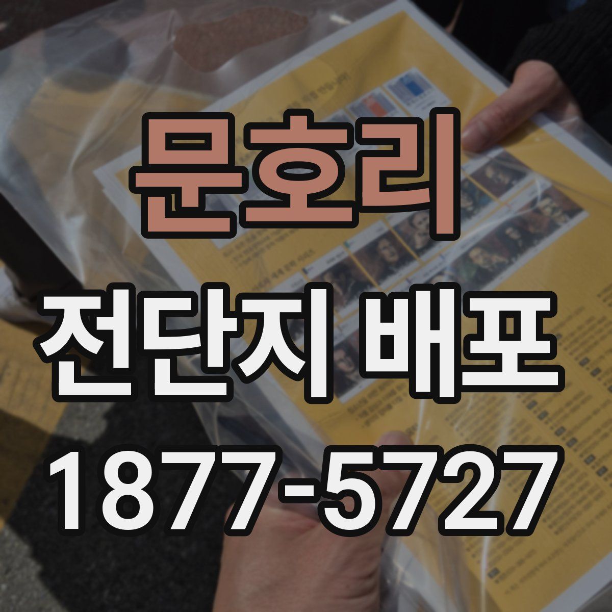 문호리 전단지 배포