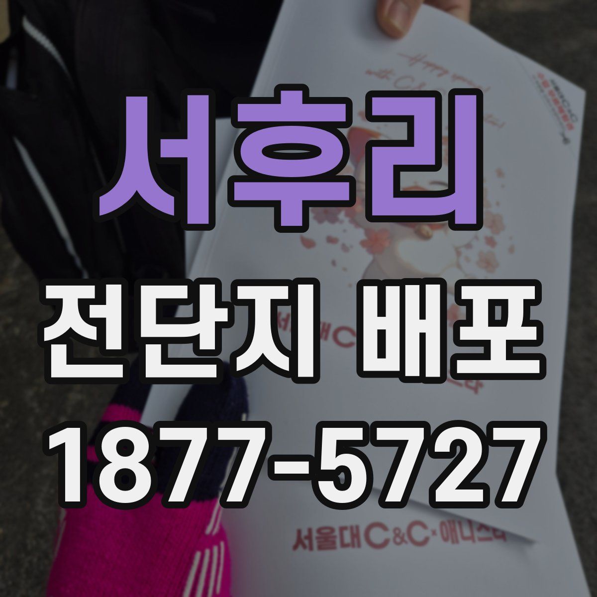 서후리 전단지 배포