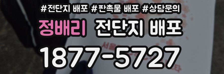 정배리 전단지 배포