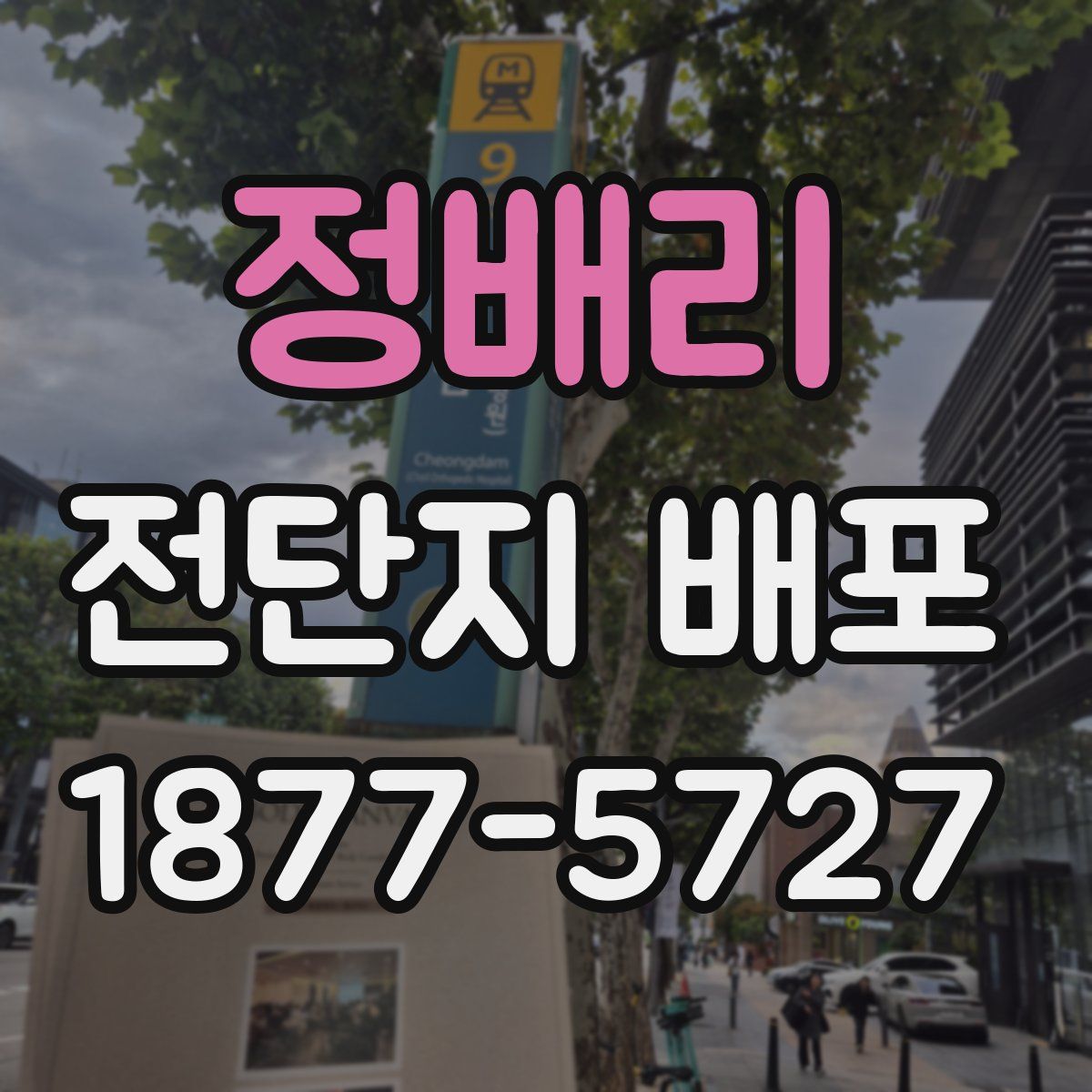 정배리 전단지 배포