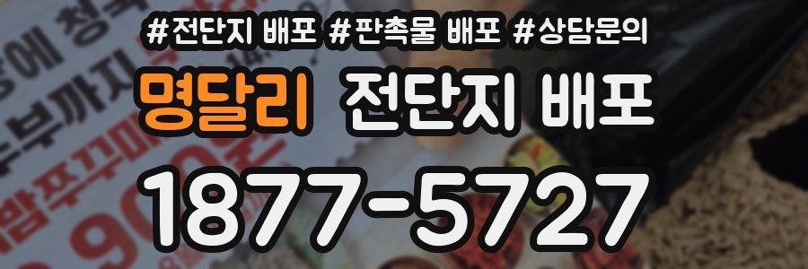 명달리 전단지 배포