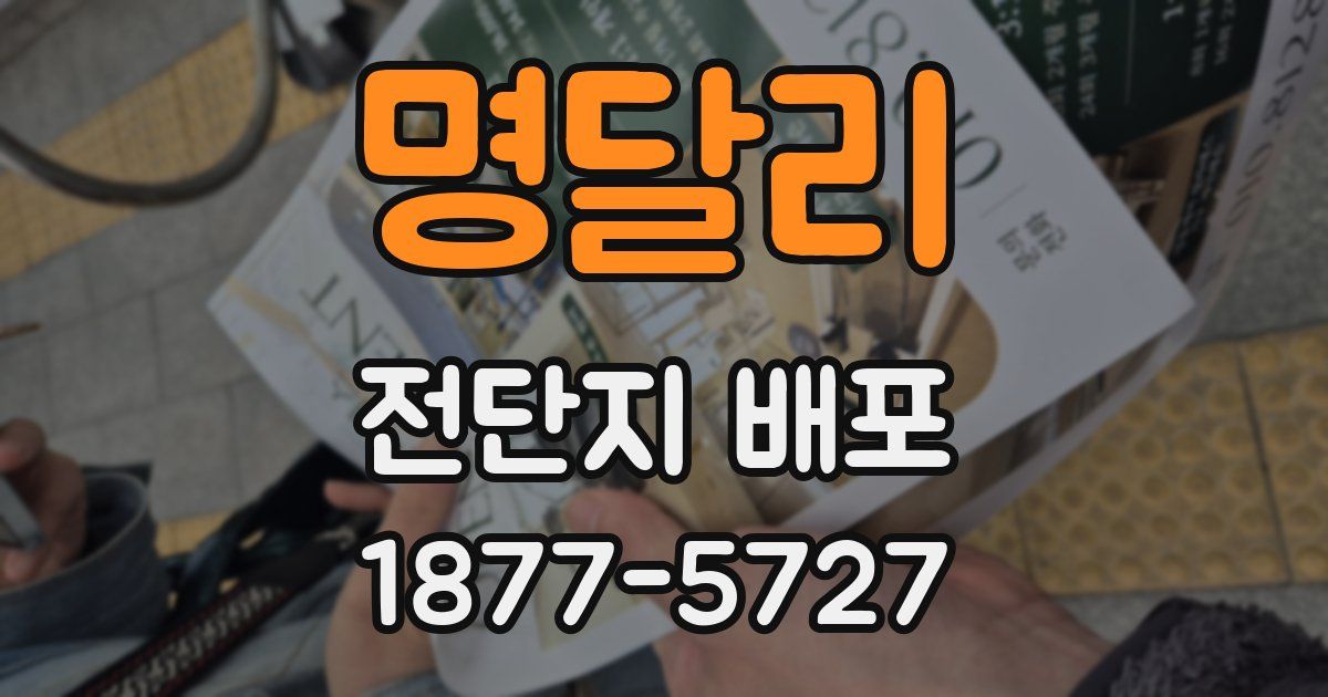 명달리 전단지 배포