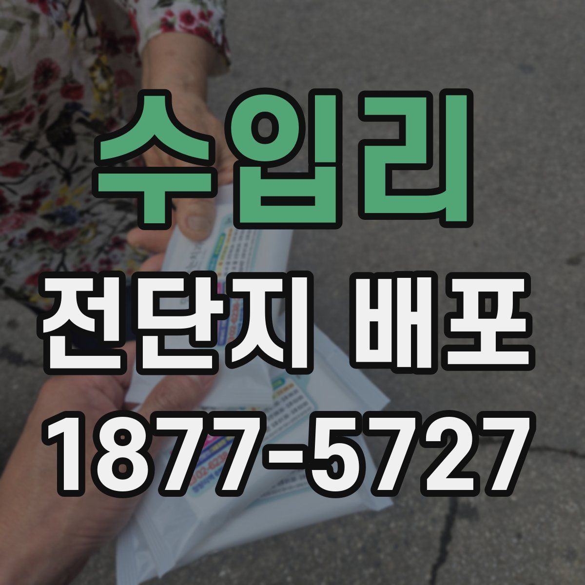 수입리 전단지 배포