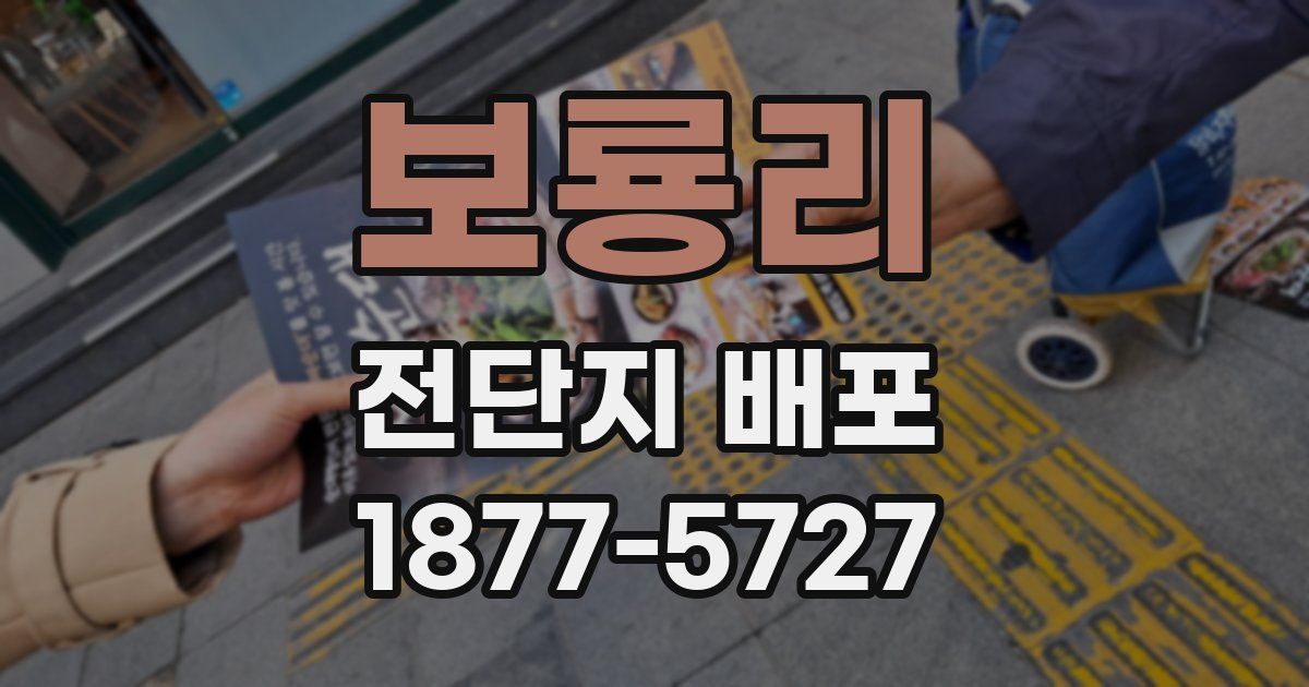 보룡리 전단지 배포