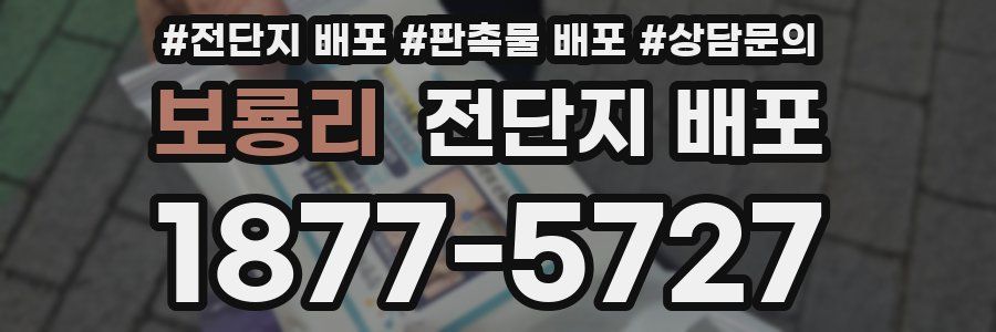 보룡리 전단지 배포