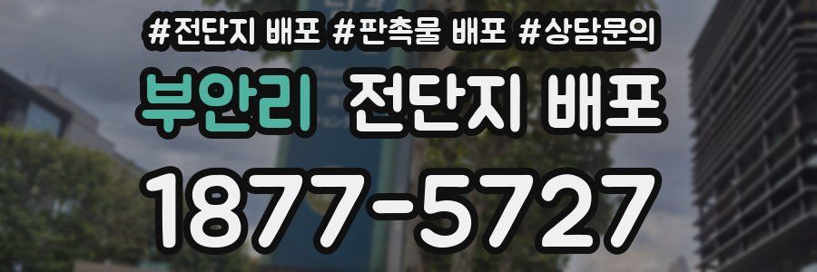 부안리 전단지 배포