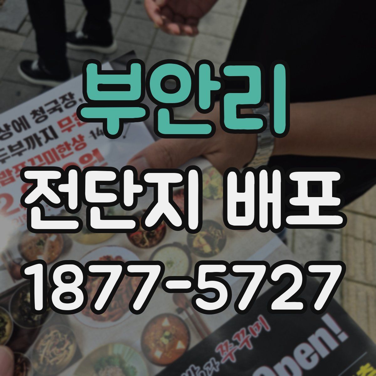 부안리 전단지 배포
