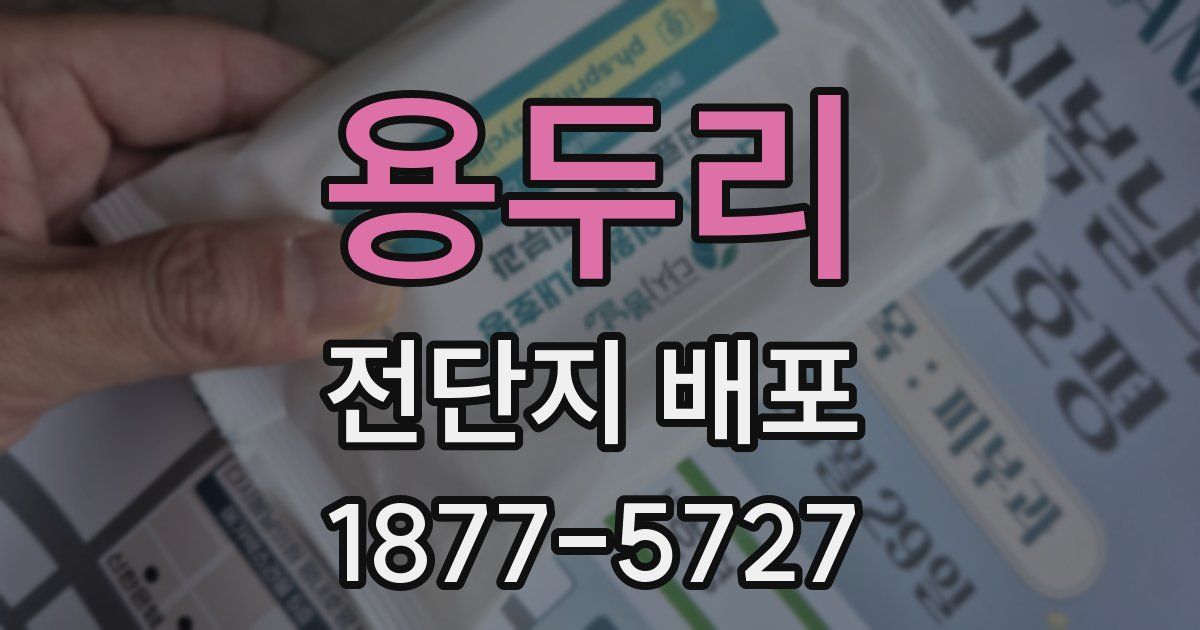 용두리 전단지 배포