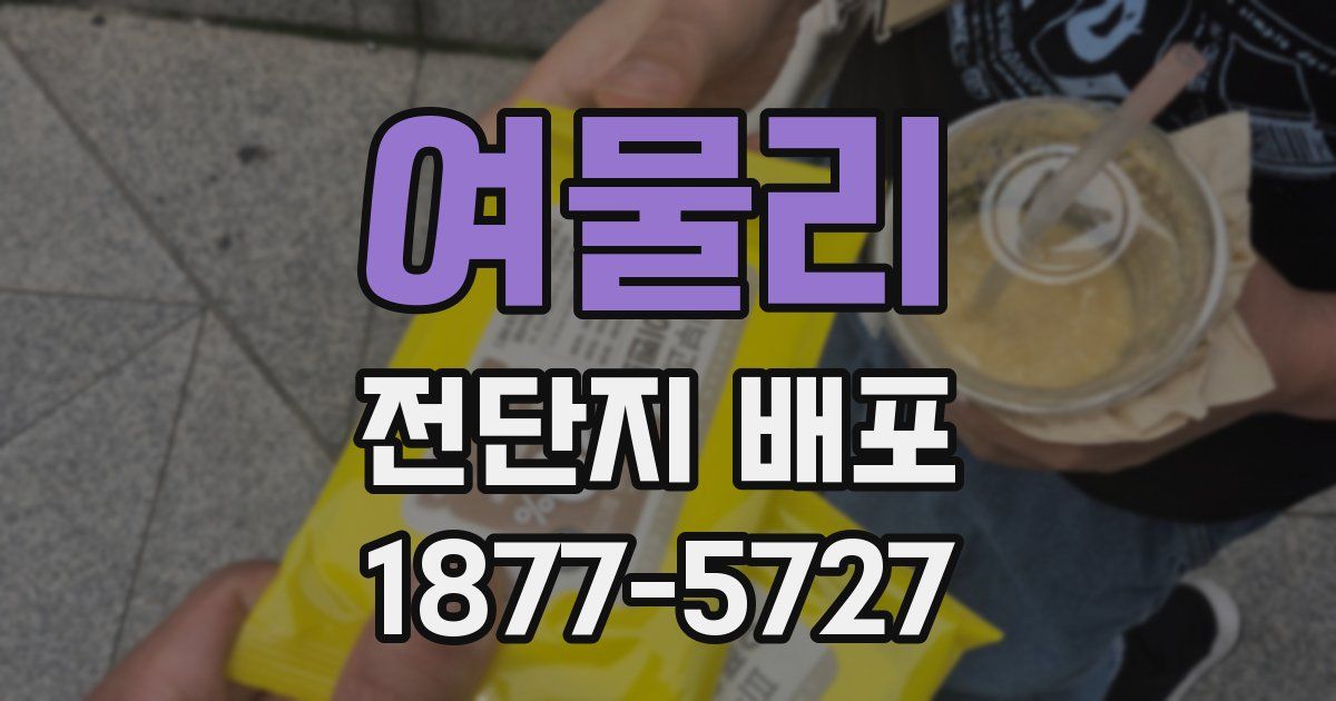 여물리 전단지 배포