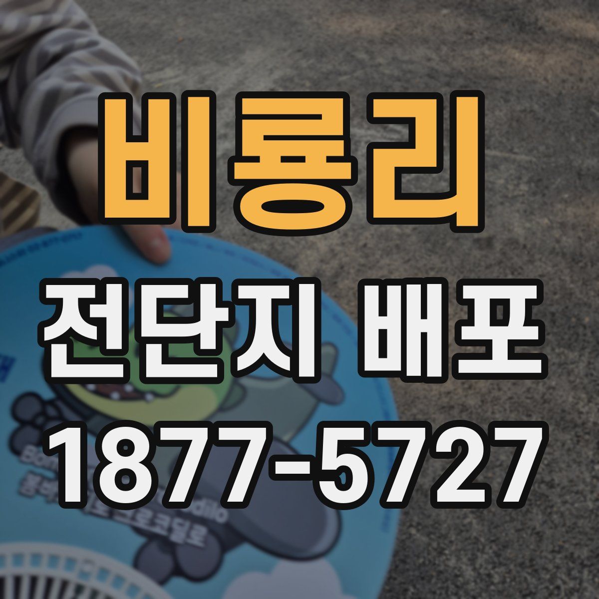 비룡리 전단지 배포