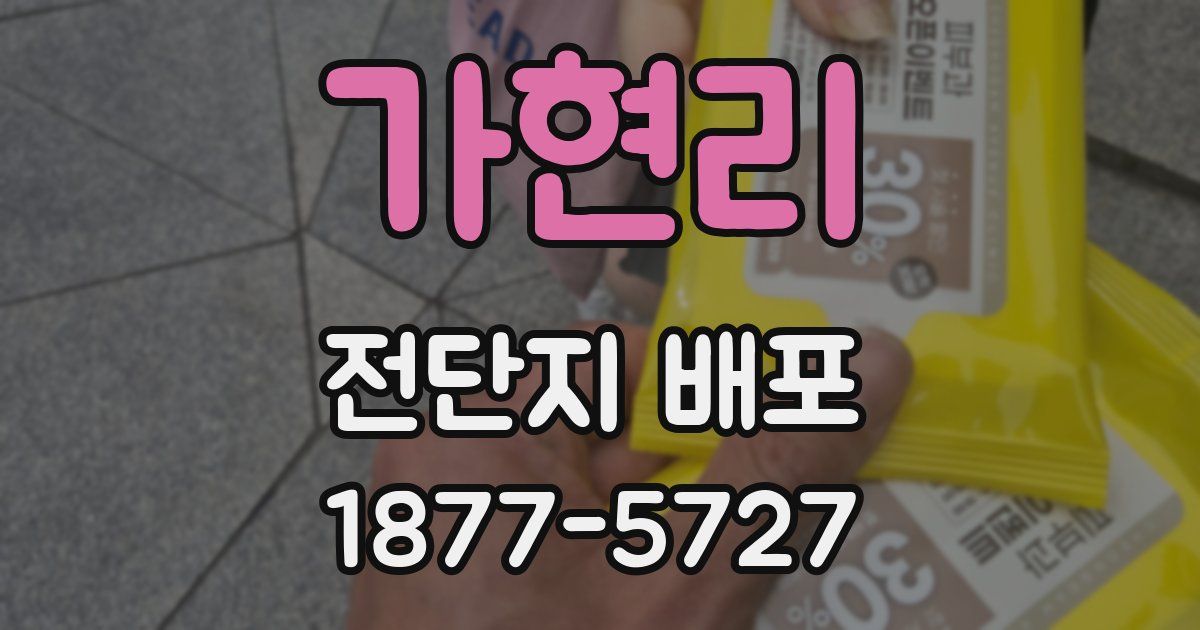 가현리 전단지 배포