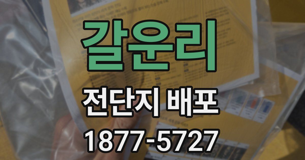 갈운리 전단지 배포