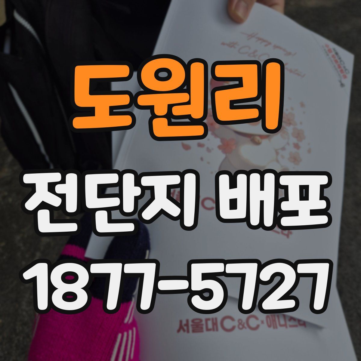 도원리 전단지 배포