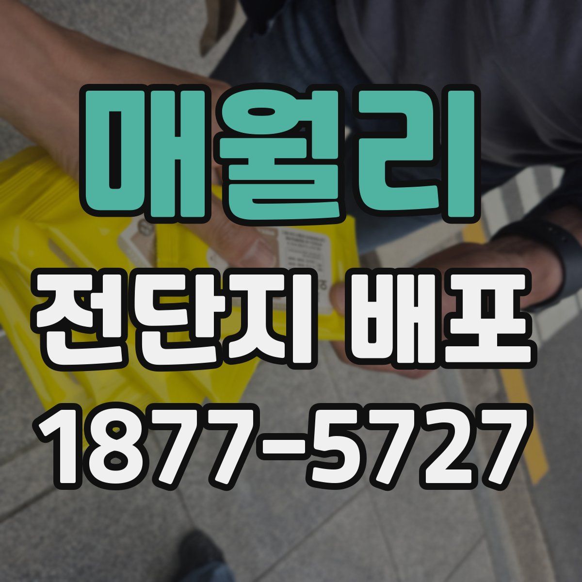 매월리 전단지 배포