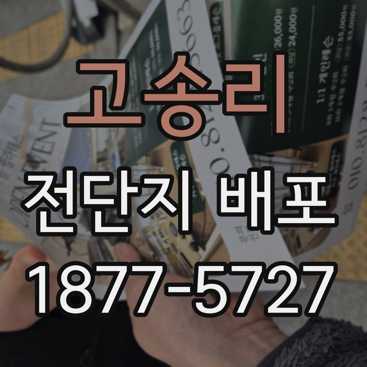 고송리 전단지 배포