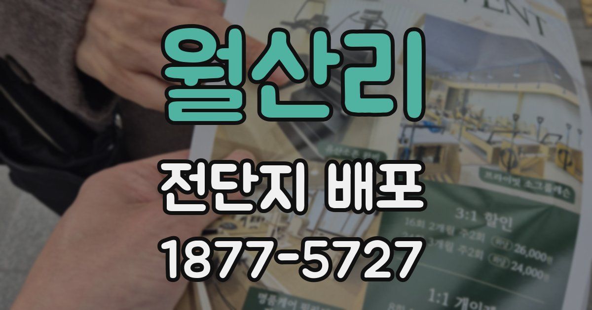 월산리 전단지 배포