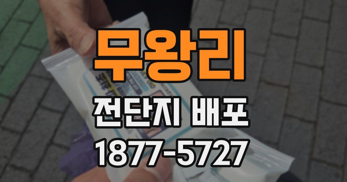 무왕리 전단지 배포